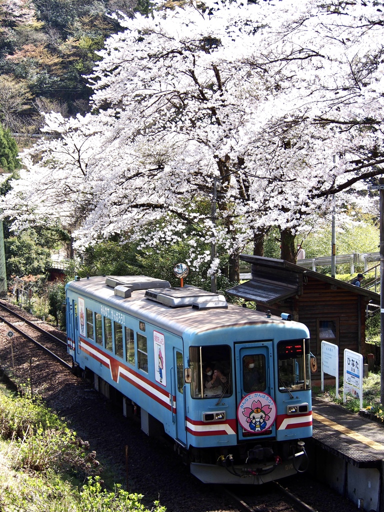 樽見鉄道　日当駅