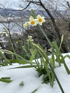 私、頑張りやさん