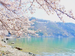 奥琵琶湖　４