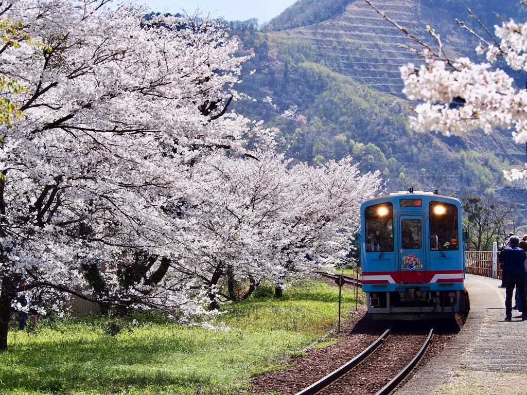 樽見鉄道　谷汲口駅