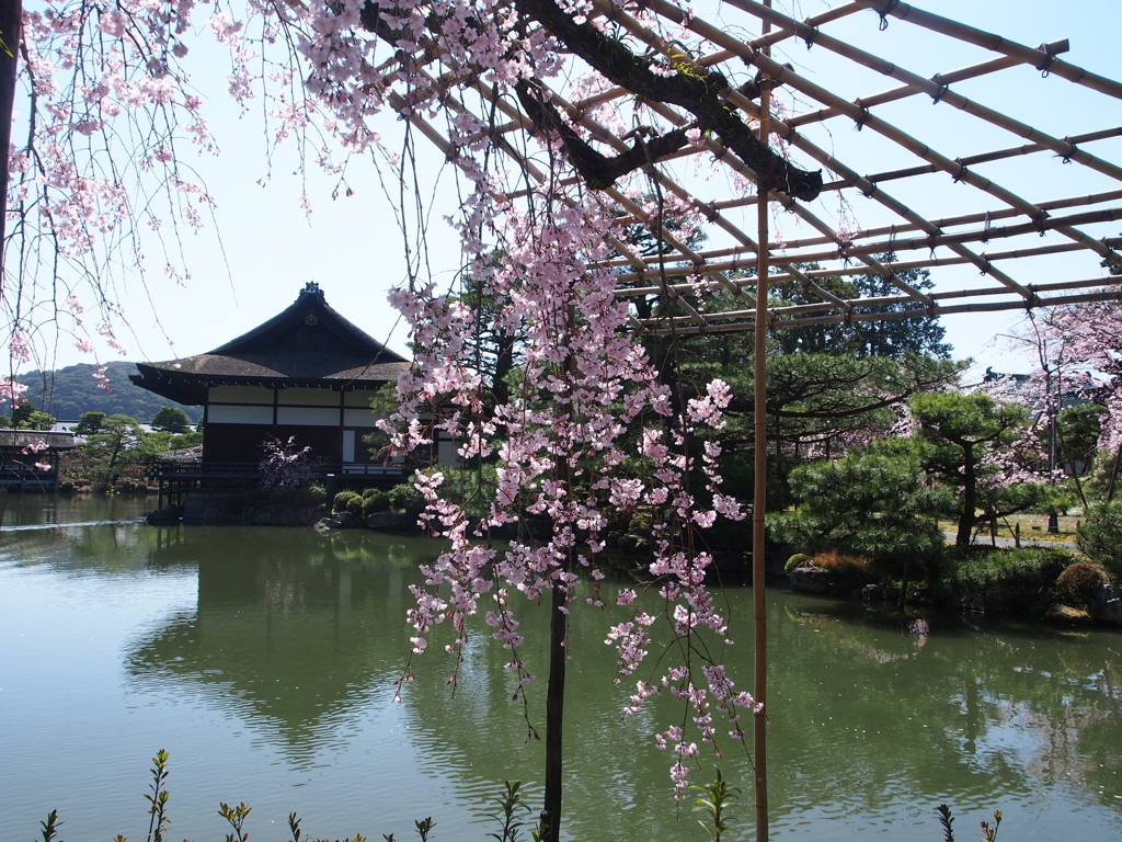 平安神宮神苑