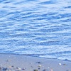 浜辺