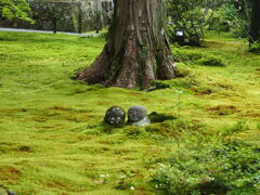 あまりにも有名な大原三千院