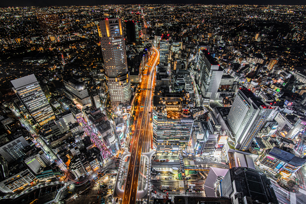 夜の東京は光の海になる。