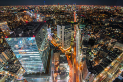 夜の東京は光の海になる。