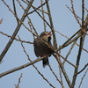 シメ　怒ってる？
