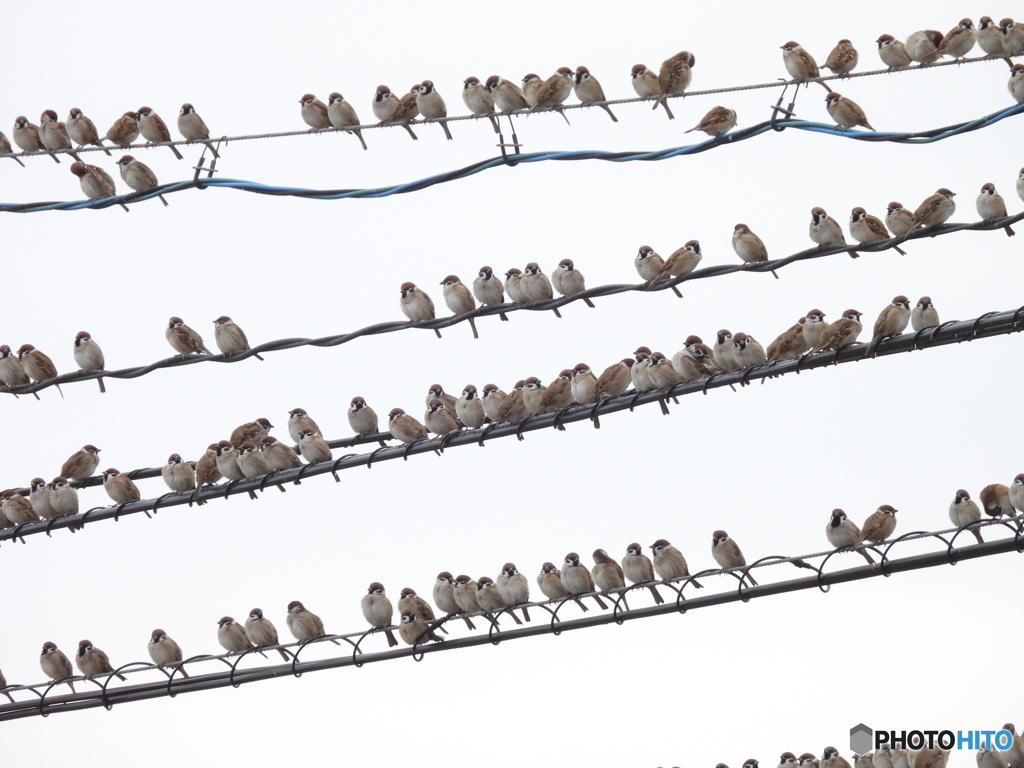 がやがやがやがやがや