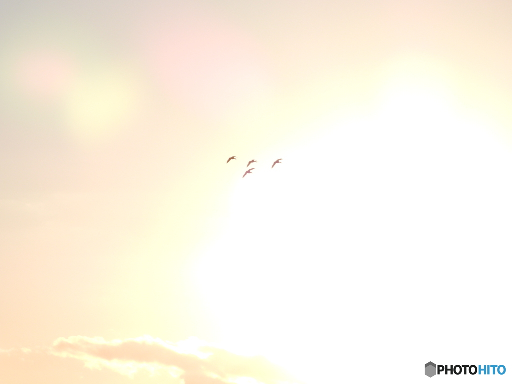 これからお食事に