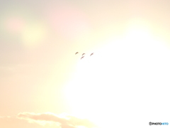 これからお食事に