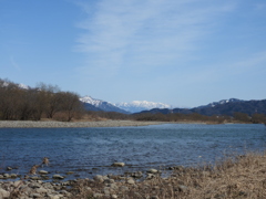 カモたちが見ている風景