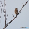 DSCN1561