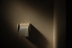うちのトイレがなんだかエモい