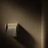うちのトイレがなんだかエモい