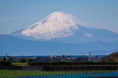 今日の午前の富士山