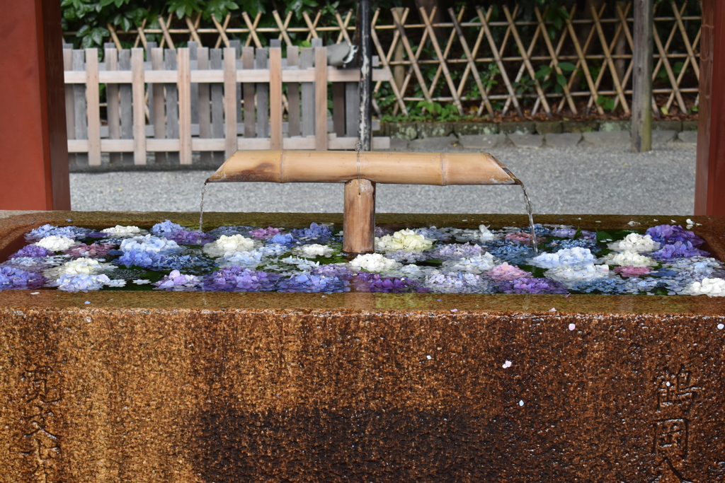 鶴岡八幡宮の手洗い場