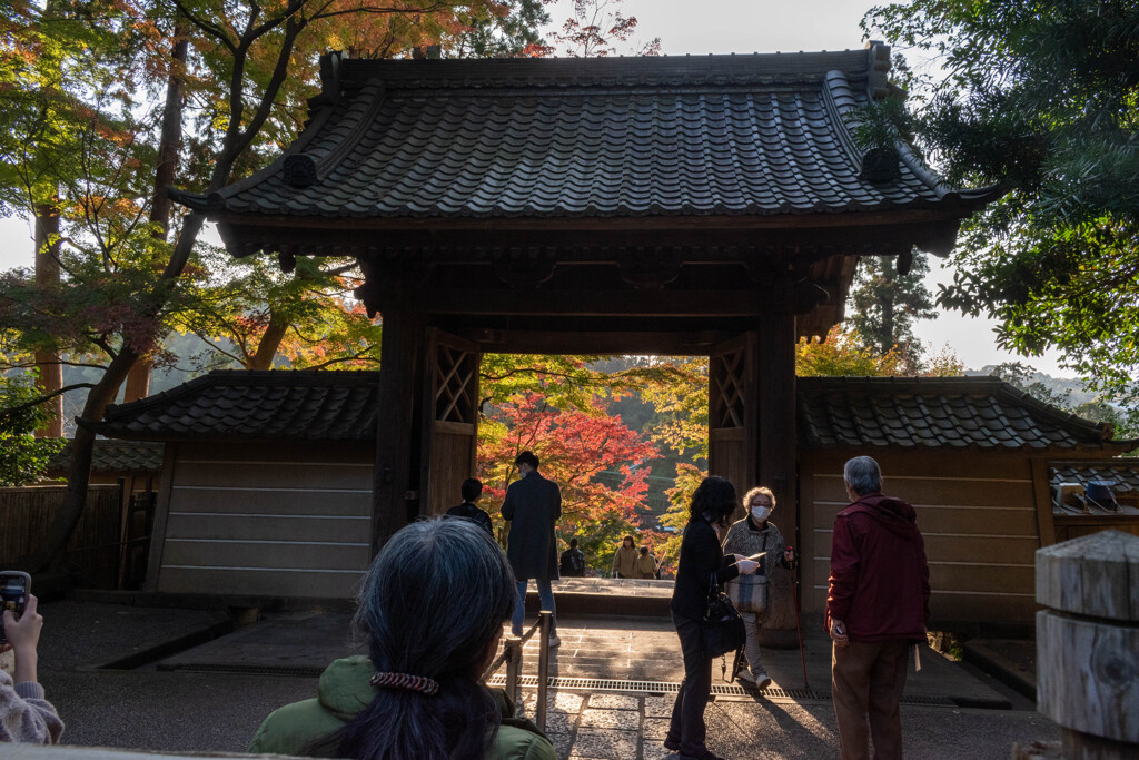円覚寺総門