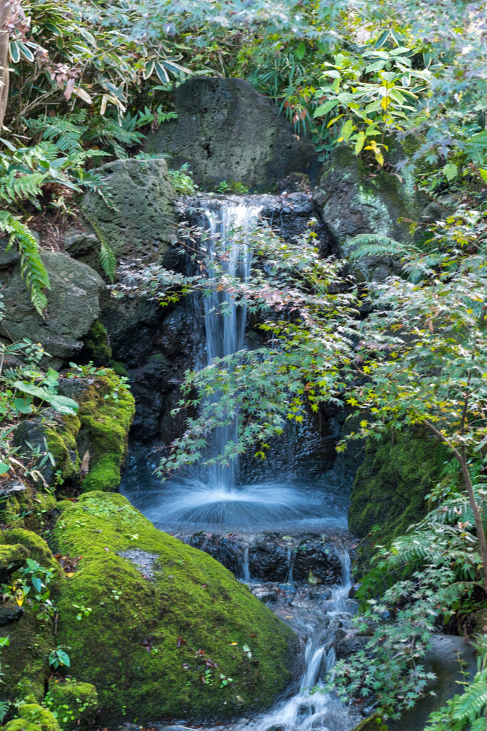 三渓園