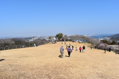 田浦梅の里内の広場