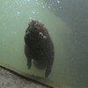 冷たい水も何のその