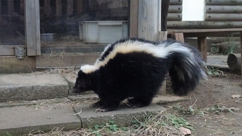 ご飯は嬉しいけど・・・。