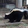 ご飯は嬉しいけど・・・。