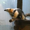 ガラスは叩かないで優しく見守ってね