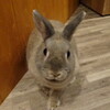 今年はホップステップジャンプで跳躍する一年に