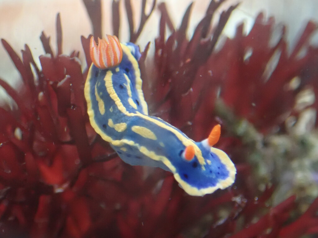 まさに生きたアート