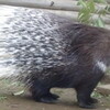 俺に触ると怪我するぜ