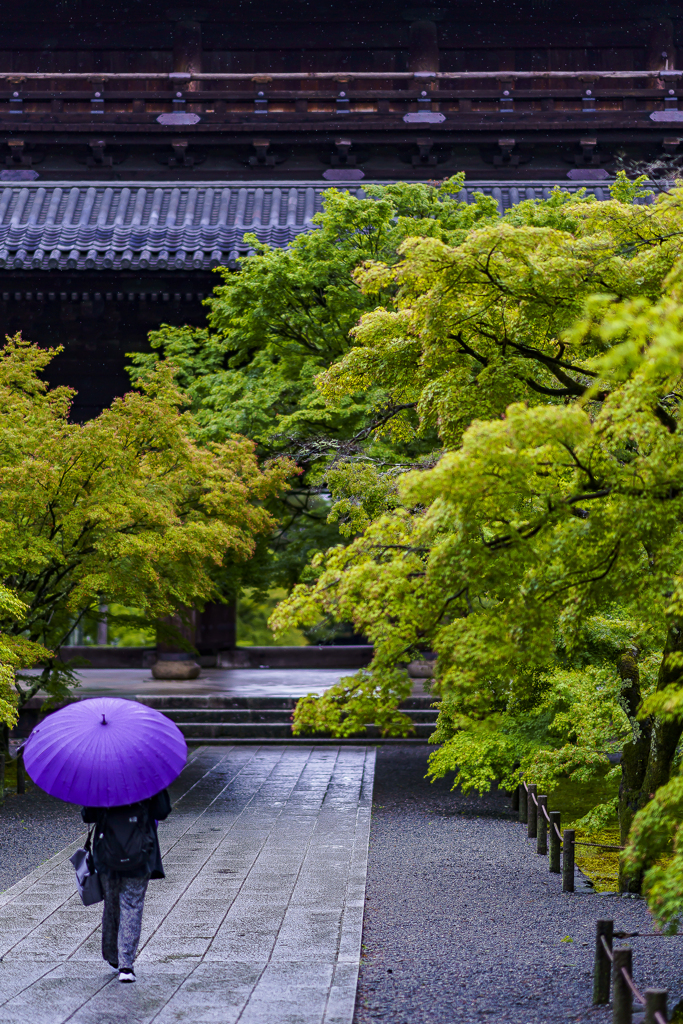 雨の京都