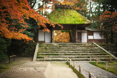 晩秋の法然院-2