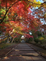 朝日射す