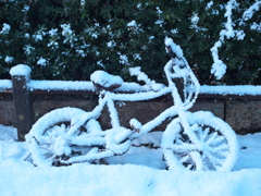 The Snow Bike