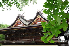 深緑の吉備津神社-2