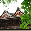 深緑の吉備津神社-2