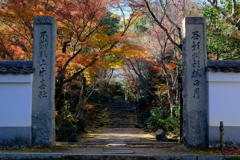 2024紅葉 最終盤