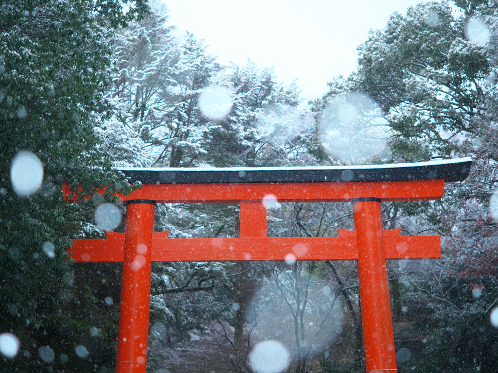 古都に降る雪