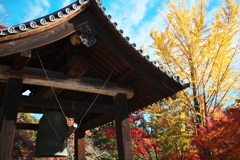 三室戸寺の秋-1