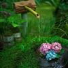 雨の季節の花手水
