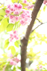 まだまだ春
