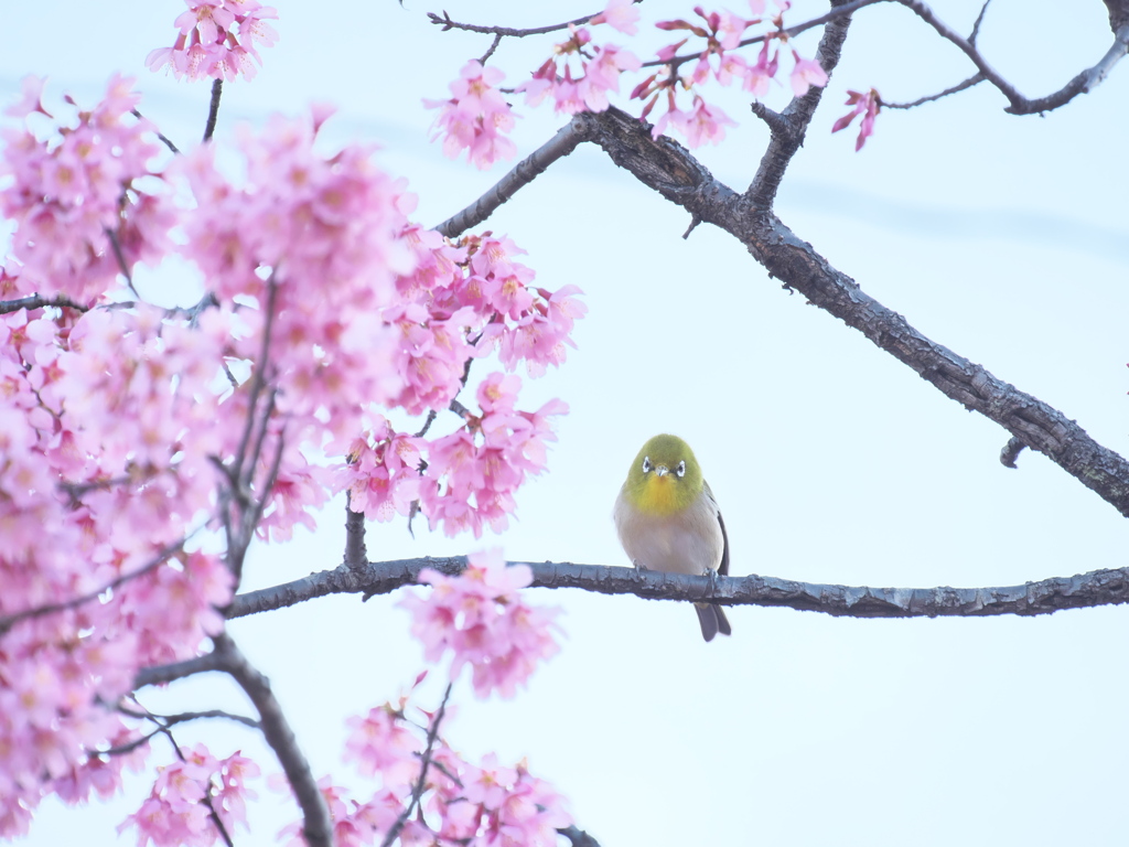 対峙