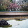 石庭の春