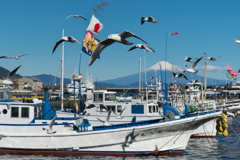 港から望む富士-1