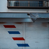 RED&BLUE