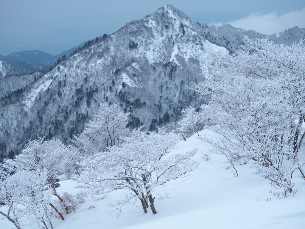 冬景色を求めて-1