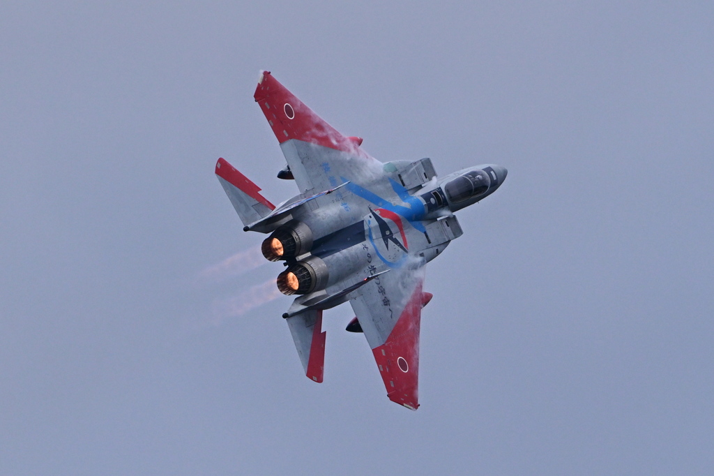 岐阜基地航空祭2025-2