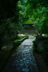 深緑の山門