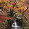 晩秋の小川
