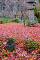 雨上がりの十牛之庭-2