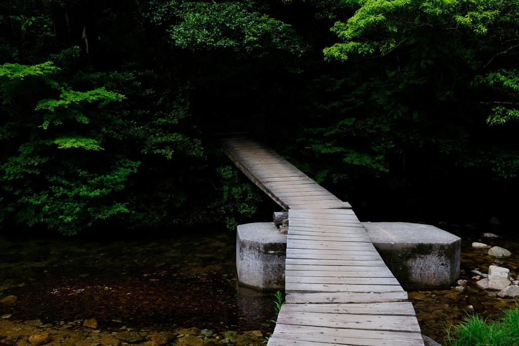 深緑への橋